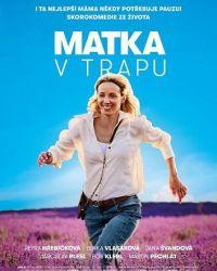 Мать в бегах (2024) смотреть онлайн